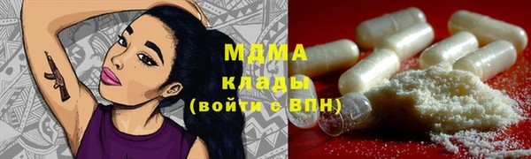 гидра Бородино
