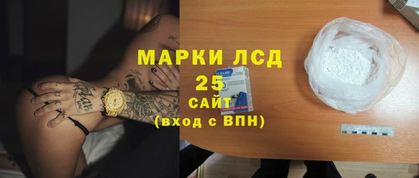 гидра Бородино
