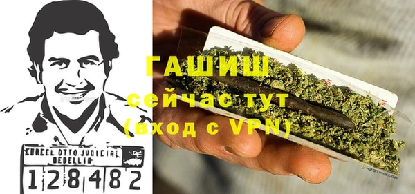 гидра Бородино