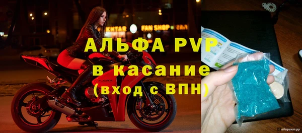 гидра Бородино