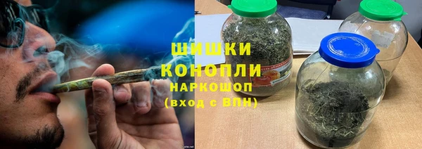 гидра Бородино