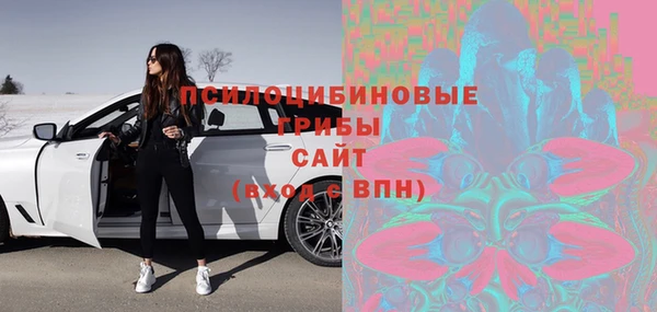 гидра Бородино