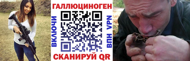 магазин продажи   Тихвин  Псилоцибиновые грибы GOLDEN TEACHER 